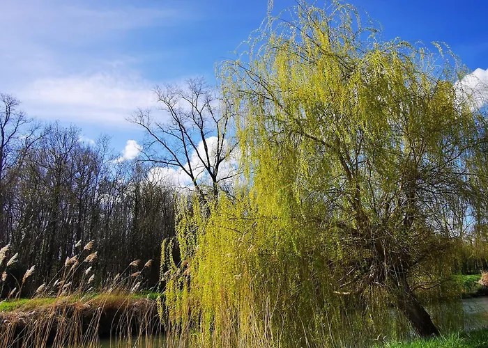 L'aarona Du Lidon * Saint-Hilaire-la-Palud